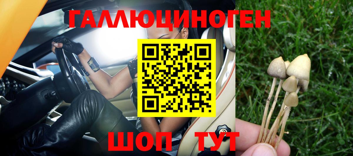 Анжеро-Судженск  Псилоцибиновые грибы прущие грибы  Галлюциногенные грибы Magic Shrooms  Вход с VPN 